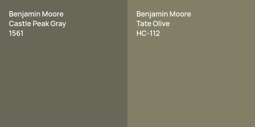 Benjamin Moore Castle Peak Gray vs. Benjamin Moore Tate Olive