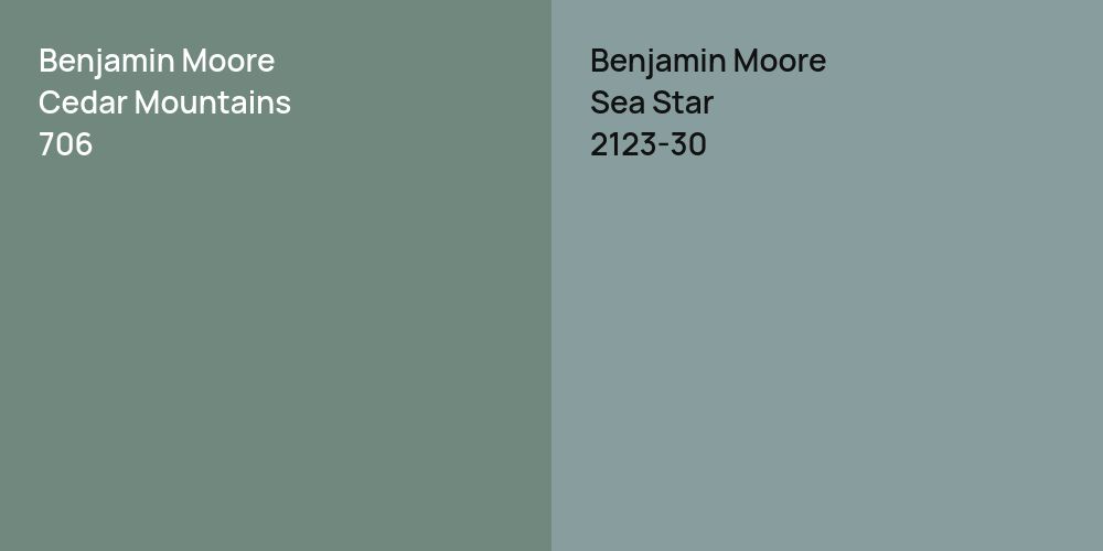 Benjamin Moore Cedar Mountains vs. Benjamin Moore Sea Star