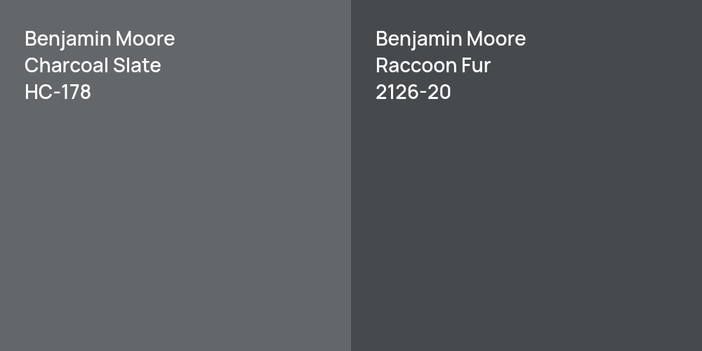 Benjamin Moore Charcoal Slate vs. Benjamin Moore Raccoon Fur