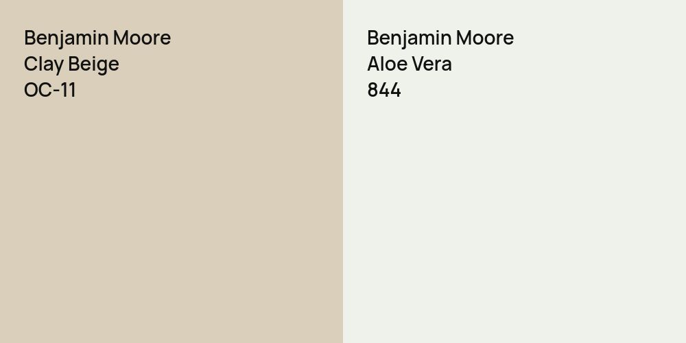 Benjamin Moore Clay Beige vs. Benjamin Moore Aloe Vera