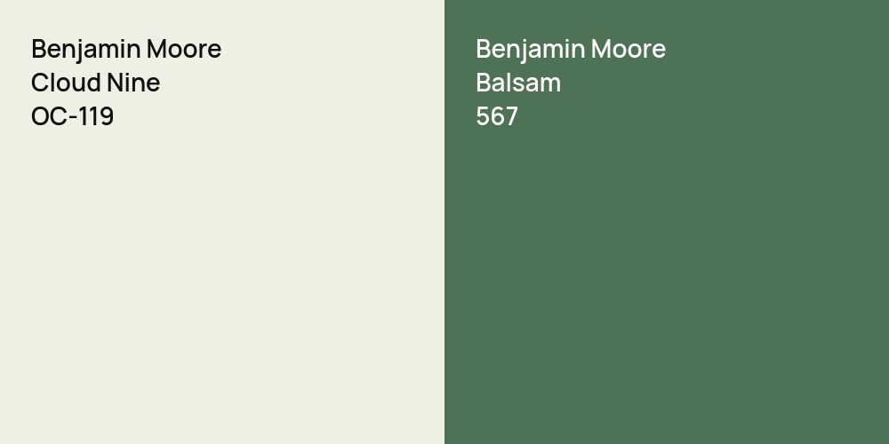 Benjamin Moore Cloud Nine vs. Benjamin Moore Balsam