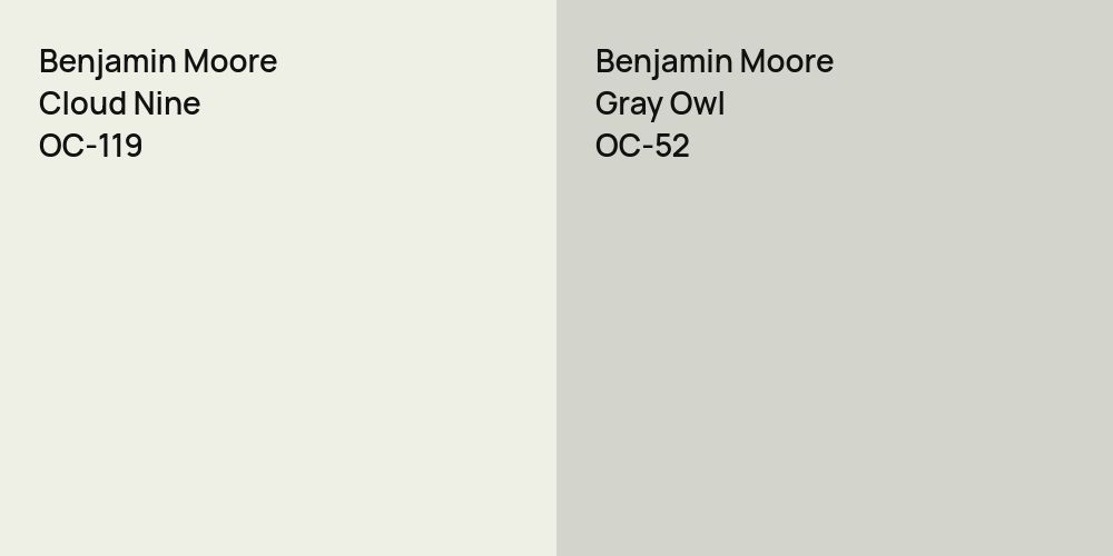 Benjamin Moore Cloud Nine vs. Benjamin Moore Gray Owl