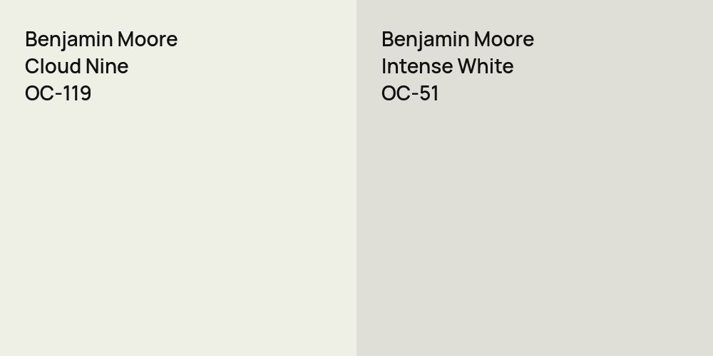 Benjamin Moore Cloud Nine vs. Benjamin Moore Intense White