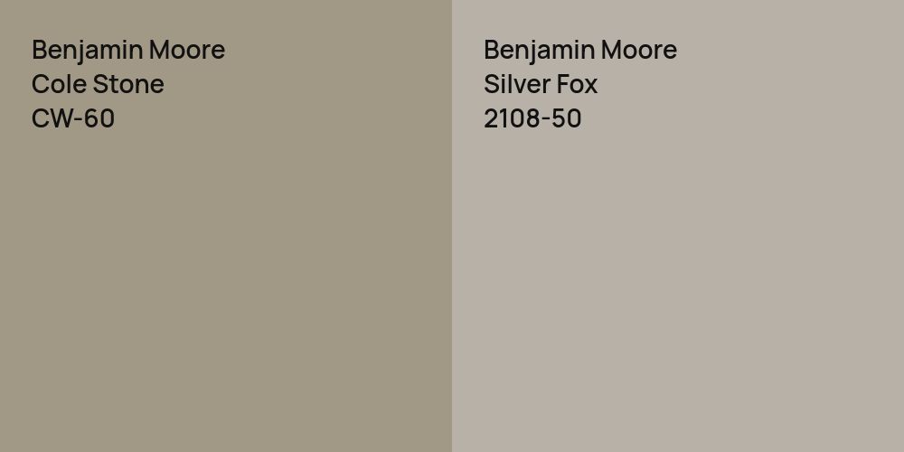 Benjamin Moore Cole Stone vs. Benjamin Moore Silver Fox