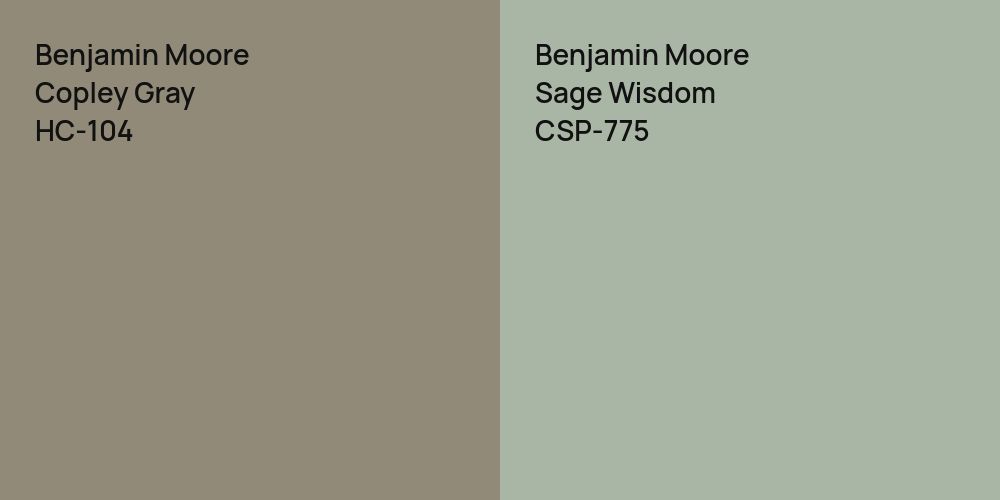 Benjamin Moore Copley Gray vs. Benjamin Moore Sage Wisdom