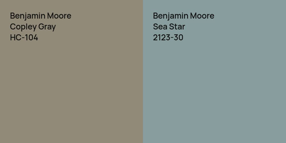 Benjamin Moore Copley Gray vs. Benjamin Moore Sea Star