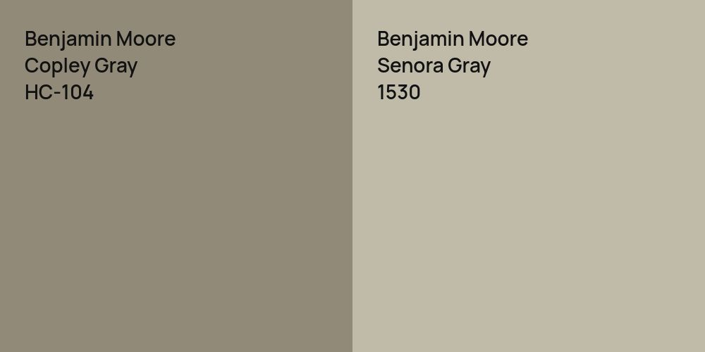 Benjamin Moore Copley Gray vs. Benjamin Moore Senora Gray