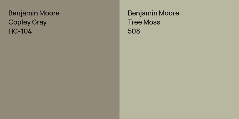 Benjamin Moore Copley Gray vs. Benjamin Moore Tree Moss