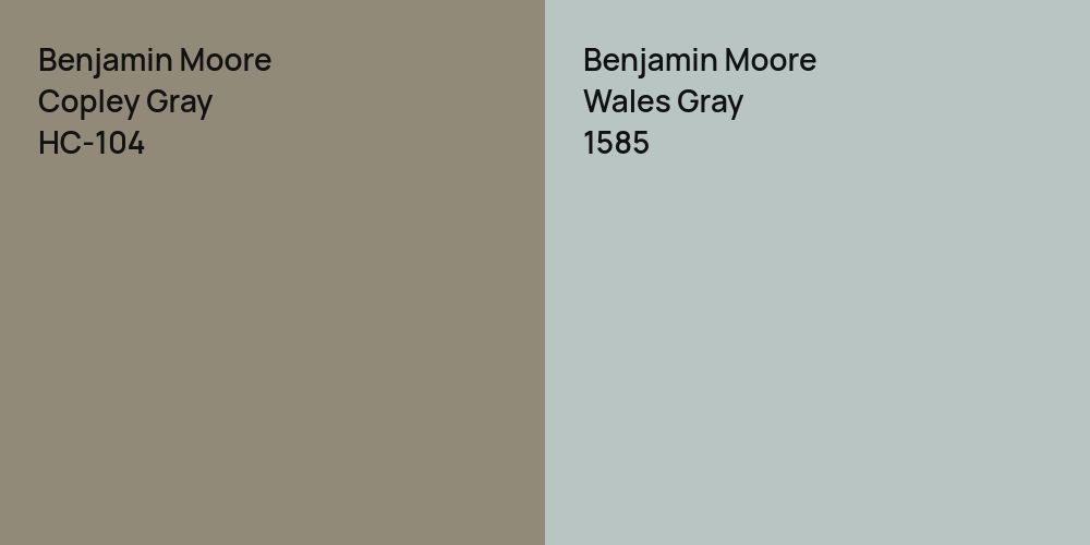 Benjamin Moore Copley Gray vs. Benjamin Moore Wales Gray