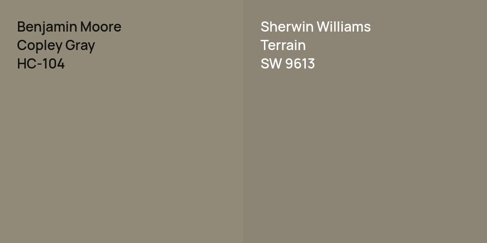 Benjamin Moore Copley Gray vs. Sherwin Williams Terrain