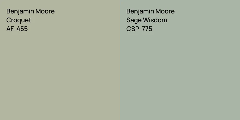 Benjamin Moore Croquet vs. Benjamin Moore Sage Wisdom