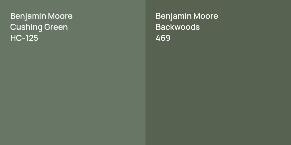 Benjamin Moore Cushing Green vs. Benjamin Moore Backwoods