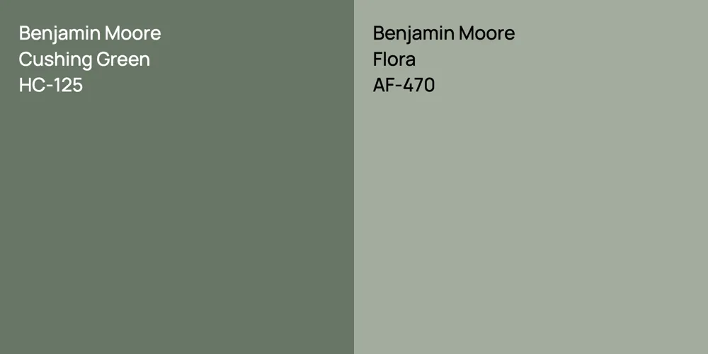 Benjamin Moore Cushing Green vs. Benjamin Moore Flora