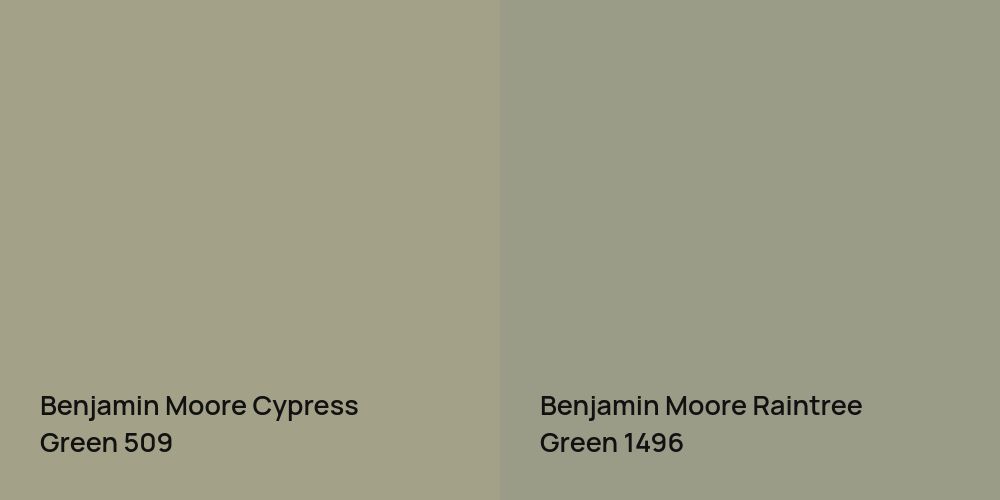 Benjamin Moore Cypress Green vs. Benjamin Moore Raintree Green