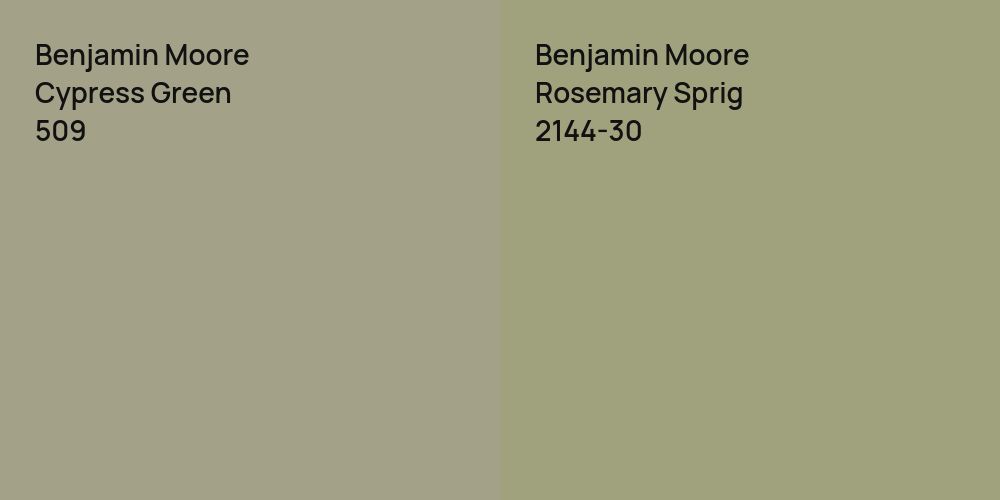 Benjamin Moore Cypress Green vs. Benjamin Moore Rosemary Sprig