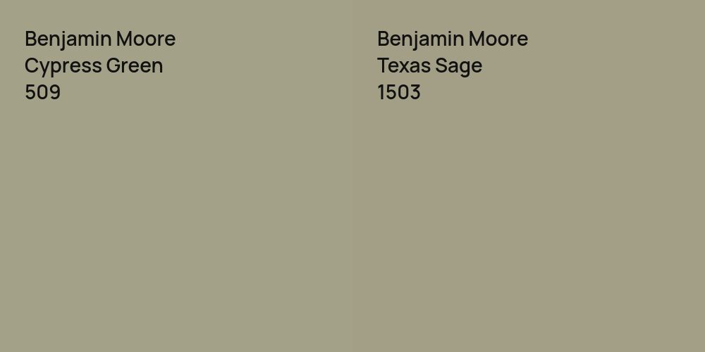 Benjamin Moore Cypress Green vs. Benjamin Moore Texas Sage