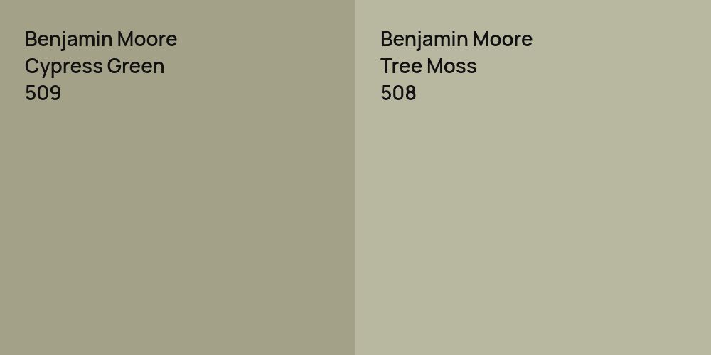 Benjamin Moore Cypress Green vs. Benjamin Moore Tree Moss