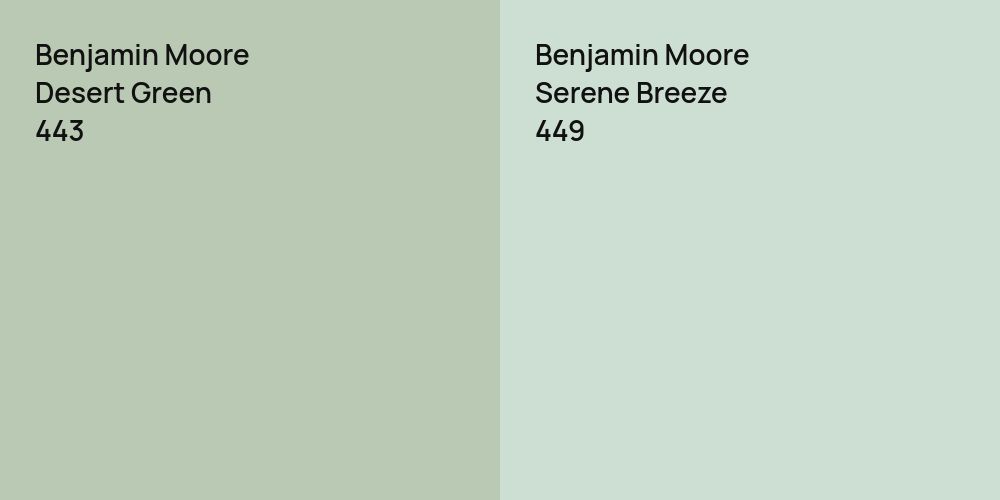 Benjamin Moore Desert Green vs. Benjamin Moore Serene Breeze