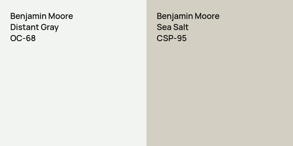 Benjamin Moore Distant Gray vs. Benjamin Moore Sea Salt