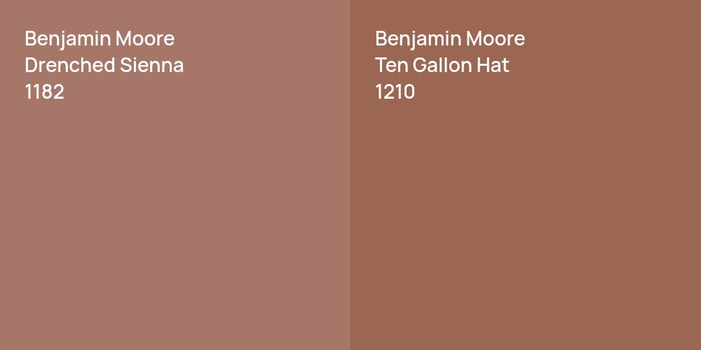 Benjamin Moore Drenched Sienna vs. Benjamin Moore Ten Gallon Hat