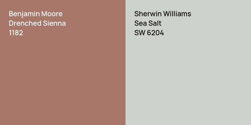 Benjamin Moore Drenched Sienna vs. Sherwin Williams Sea Salt