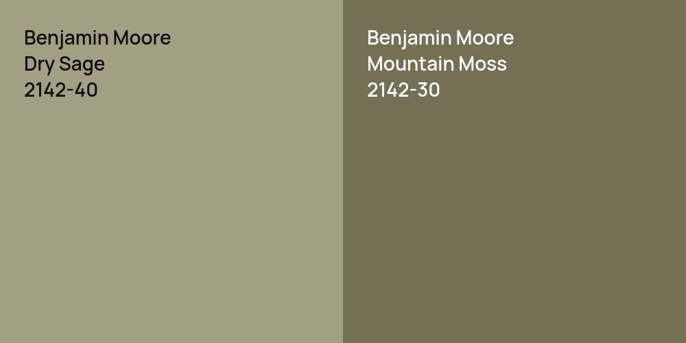 Benjamin Moore Dry Sage vs. Benjamin Moore Mountain Moss