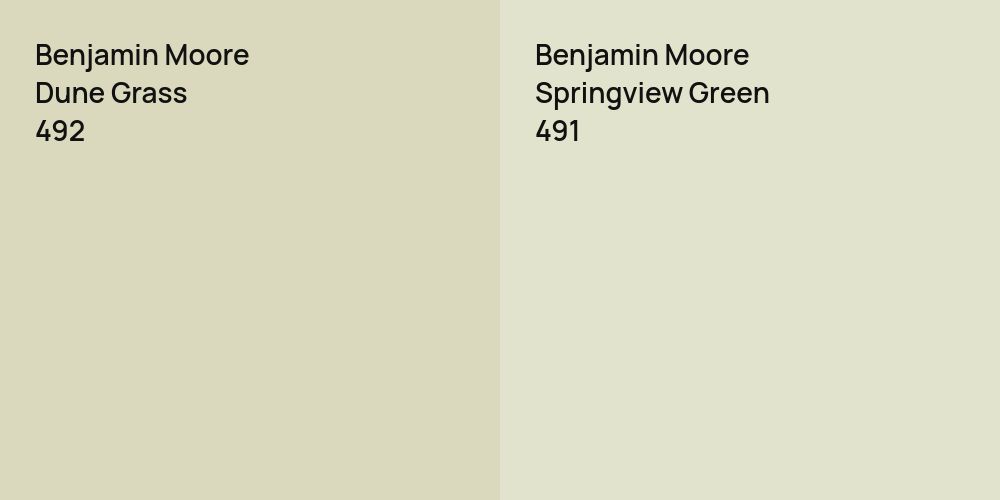 Benjamin Moore Dune Grass vs. Benjamin Moore Springview Green