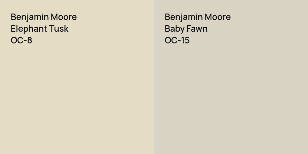 Benjamin Moore Elephant Tusk vs. Benjamin Moore Baby Fawn