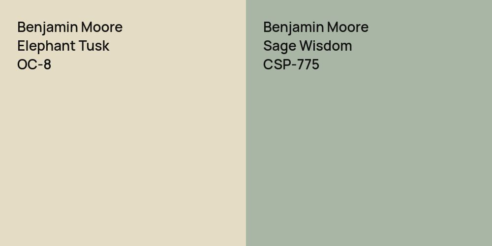 Benjamin Moore Elephant Tusk vs. Benjamin Moore Sage Wisdom