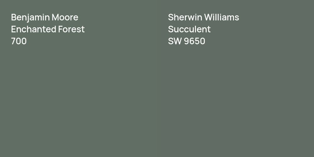 Benjamin Moore Enchanted Forest vs. Sherwin Williams Succulent