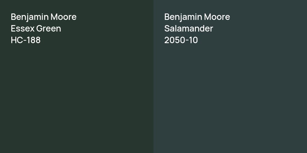 Benjamin Moore Essex Green vs. Benjamin Moore Salamander