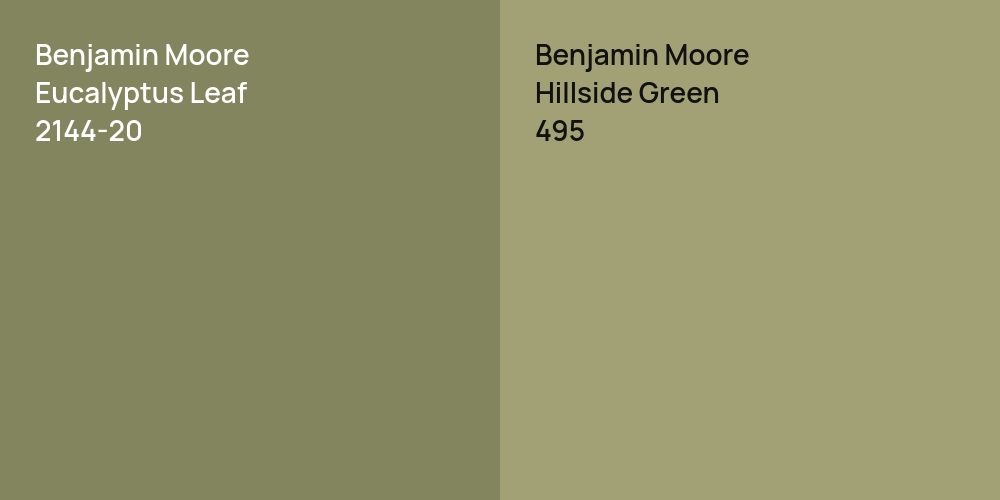 Benjamin Moore Eucalyptus Leaf vs. Benjamin Moore Hillside Green