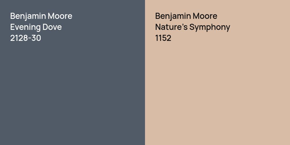 Benjamin Moore Evening Dove vs. Benjamin Moore Nature's Symphony