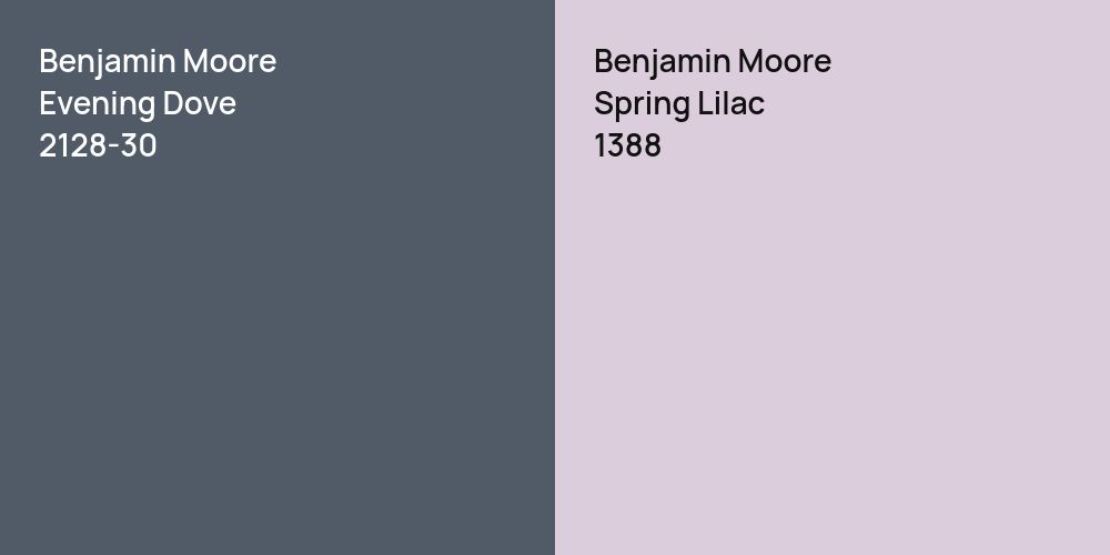 Benjamin Moore Evening Dove vs. Benjamin Moore Spring Lilac