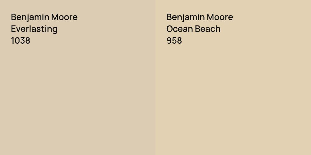 Benjamin Moore Everlasting vs. Benjamin Moore Ocean Beach