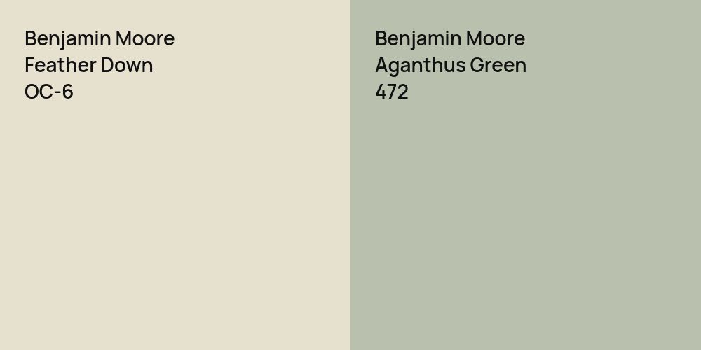 Benjamin Moore Feather Down vs. Benjamin Moore Aganthus Green