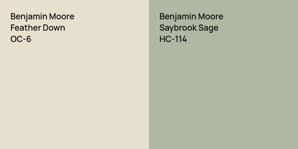 Benjamin Moore Feather Down vs. Benjamin Moore Saybrook Sage