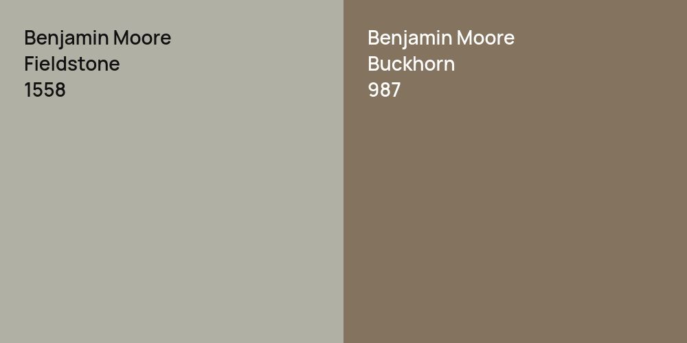 Benjamin Moore Fieldstone vs. Benjamin Moore Buckhorn