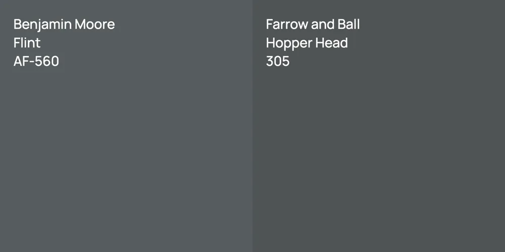 Benjamin Moore Flint vs. Farrow and Ball Hopper Head