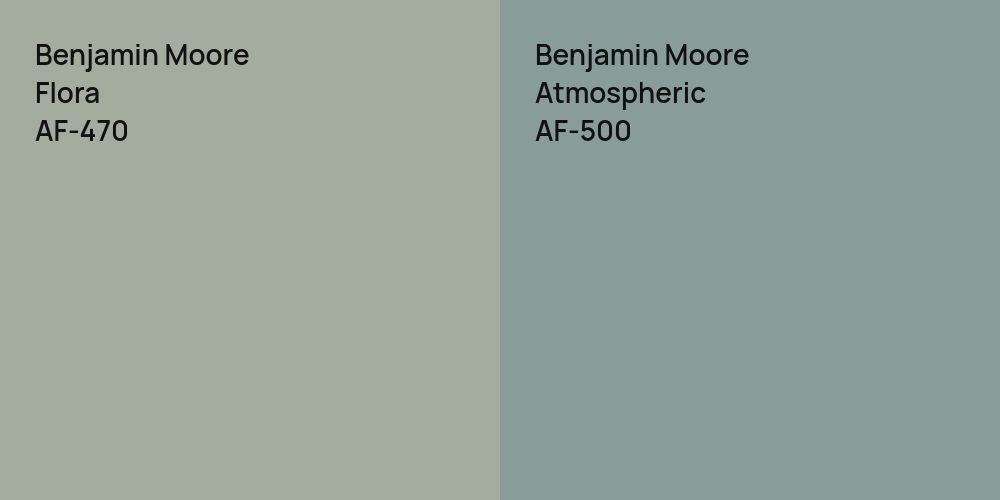 Benjamin Moore Flora vs. Benjamin Moore Atmospheric