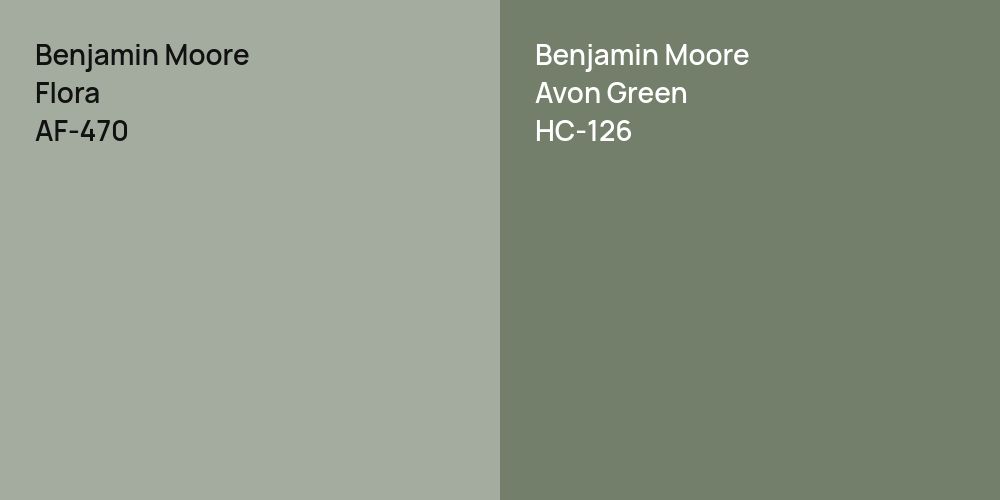 Benjamin Moore Flora vs. Benjamin Moore Avon Green