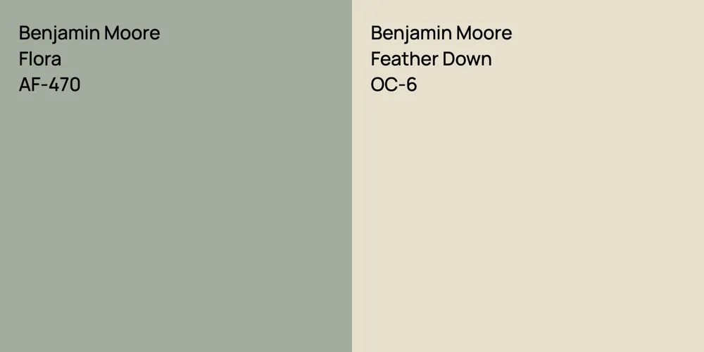 Benjamin Moore Flora vs. Benjamin Moore Feather Down