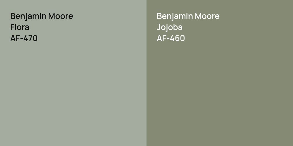 Benjamin Moore Flora vs. Benjamin Moore Jojoba