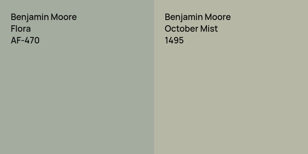 Benjamin Moore Flora vs. Benjamin Moore October Mist