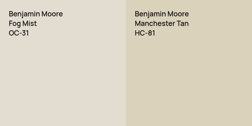 Benjamin Moore Fog Mist vs. Benjamin Moore Manchester Tan