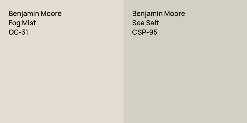 Benjamin Moore Fog Mist vs. Benjamin Moore Sea Salt