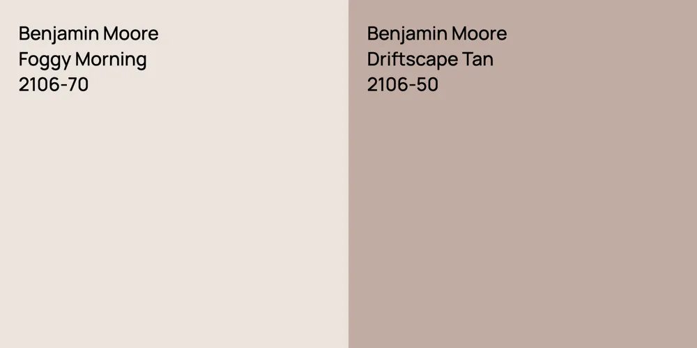 Benjamin Moore Foggy Morning vs. Benjamin Moore Driftscape Tan