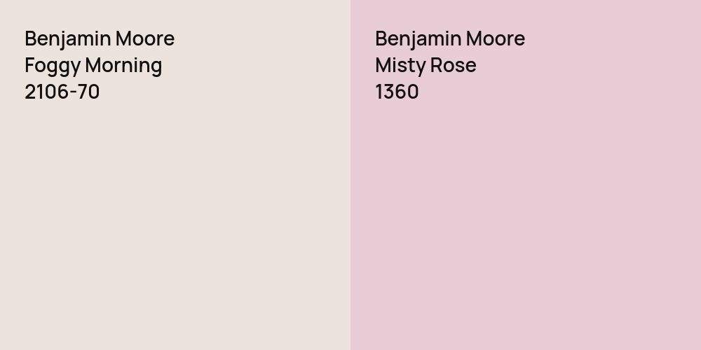 Benjamin Moore Foggy Morning vs. Benjamin Moore Misty Rose