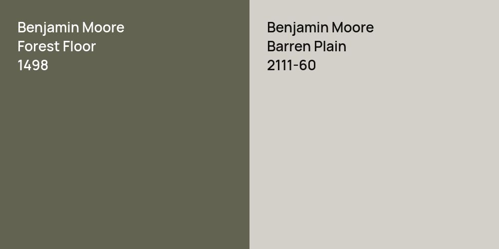 Benjamin Moore Forest Floor vs. Benjamin Moore Barren Plain