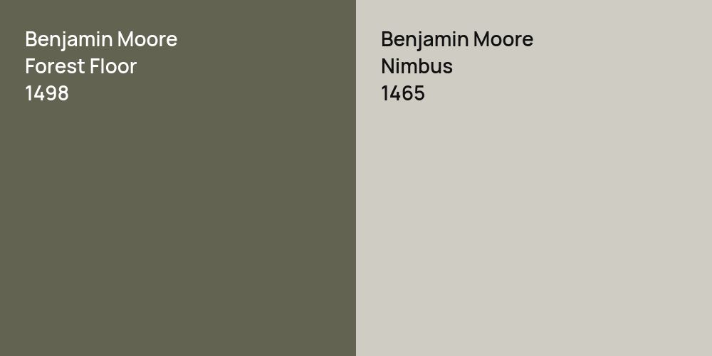 Benjamin Moore Forest Floor vs. Benjamin Moore Nimbus